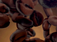 Coffee Cup Design 3d animation branding graphic design logo motion graphics